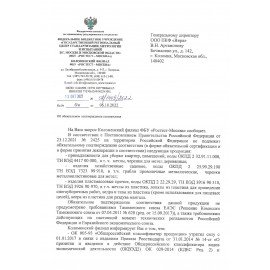 Веник синтетический веерный 29х26 см, деревянный черенок 40 см, еврорезьба, LAIMA EXPERT, 601830