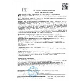 Папка на молнии BRAUBERG А4 с ручкой, с органайзером, 1 отделение, "Husky", 271450