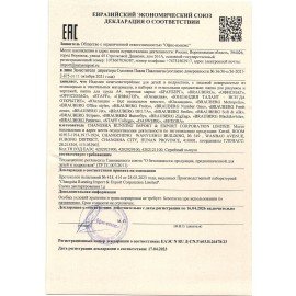 Папка для труда на молнии BRAUBERG А4, 2 отделения, органайзер, "Playing kitty", 270976