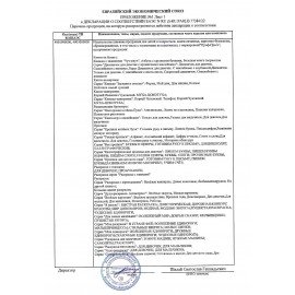 Книжка-раскраска А4 эконом, БЫСТРАЯ, 195х276 мм, 16 стр., ПП, 8894-6