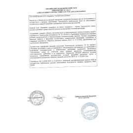 Карамель на палочке STRIKE "COLA на максималках", 565 г, КВК399