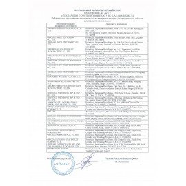 Ручка гелевая BRUNO VISCONTI "FineWrite", черная, стержень серебро, 0,4 мм, линия письма 0,3 мм, 20-0392/02