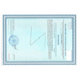 Сок Яблоко/Виноград САДЫ ПРИДОНЬЯ 1 л
