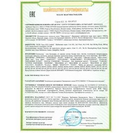 Набор для раскопок "Древний Рим" 16х23 см, инструменты, BRAUBERG KIDS, 665937