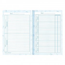 Дневник для музыкальной школы 140х210 мм, 48 л., твердый, BRAUBERG, справочный материал, "Музыка", 104975