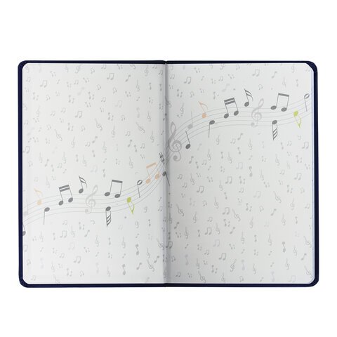 Дневник для музыкальной школы 140х210 мм, 48 л., обложка кожзам твердая, фольга, BRAUBERG, справочный материал, черный, 105502