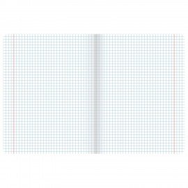 Тетрадь 12 л. BRAUBERG "КЛАССИКА NEW", клетка, обложка картон, АССОРТИ (5 видов), 105682