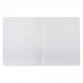 Тетрадь 12 л. BRAUBERG КЛАССИКА NEW частая косая линия, обложка картон, ЗЕЛЕНАЯ, 105694