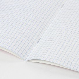 Тетрадь BRAUBERG "EXTRA" 18 л., клетка, плотная бумага 80 г/м2, обложка картон, 105708