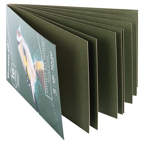 Альбом для пастели, картон ЗЕЛЕНЫЙ тонированный 630 г/м2, 207x297 мм, 10 л., BRAUBERG ART CLASSIC, 105920