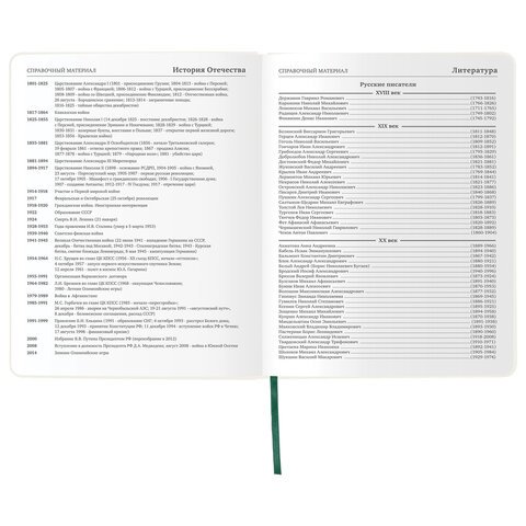 Дневник 1-11 класс 48 л., кожзам (гибкая), печать, фольга, BRAUBERG, "Avocado", 105974