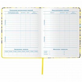 Дневник 1-11 класс 48 л., кожзам (твердая), шелкография, BRAUBERG, "ЛЕОПАРД", 105988