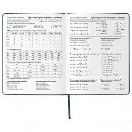 Дневник 1-11 класс 48 л., кожзам (твердая), шелкография, BRAUBERG, "ГРАФФИТИ", 105990