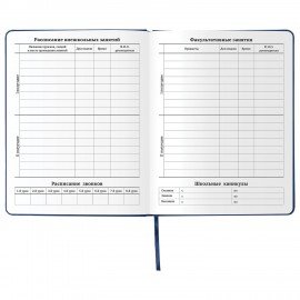 Дневник 1-11 класс 48 л., кожзам (твердая), шелкография, BRAUBERG, "ГРАФФИТИ", 105990