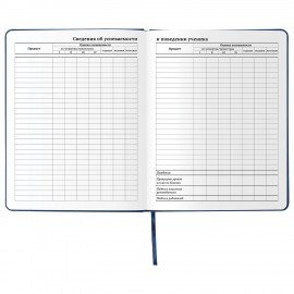 Дневник 1-11 класс 48 л., кожзам (твердая), шелкография, BRAUBERG, "ГРАФФИТИ", 105990