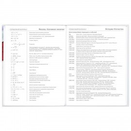 Дневник 5-11 класс 48 л., твердый, BRAUBERG, глянцевая ламинация, с подсказом, "Символика 2", 106067