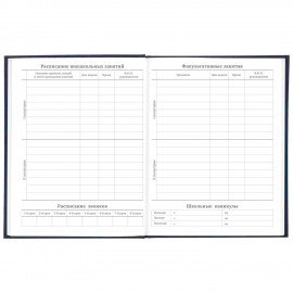 Дневник 5-11 класс, 48 л., твердый, BRAUBERG, фольга, с подсказом, "Российский", 106075