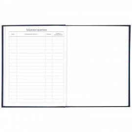 Дневник 5-11 класс, 48 л., твердый, BRAUBERG, фольга, с подсказом, "Российский", 106075