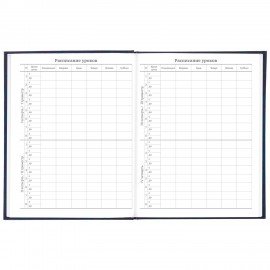 Дневник 5-11 класс, 48 л., твердый, BRAUBERG, фольга, с подсказом, "Российский", 106075