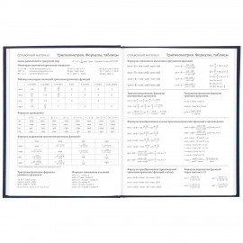 Дневник 5-11 класс, 48 л., твердый, BRAUBERG, фольга, с подсказом, "Российский", 106075