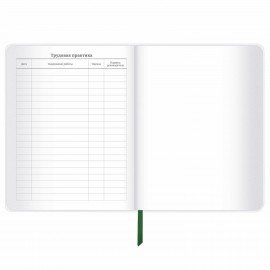 Дневник 1-11 класс 48 л., кожзам (гибкая), термотиснение, фольга, BRAUBERG, "Football", 106170