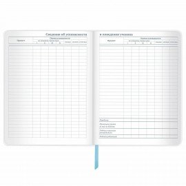 Дневник 1-11 класс 48 л., кожзам (гибкая), печать, фольга, BRAUBERG, "Space", 106174