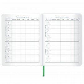 Дневник 1-11 класс 48 л., кожзам (гибкая), печать, фольга, BRAUBERG, "Мрамор", 106179