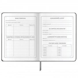 Дневник 1-4 класс 48 л., кожзам (твердая), печать, аппликация, ЮНЛАНДИЯ, "Truck Race", 106195