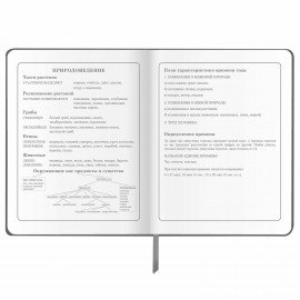 Дневник 1-4 класс 48 л., кожзам (твердая), печать, аппликация, ЮНЛАНДИЯ, "Truck Race", 106195