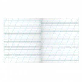 Тетрадь ЗЕЛЁНАЯ обложка 12 л., косая линия с полями, офсет, "ПЗБМ", 19971