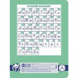 Тетрадь 12 л., HATBER Premium, косая линия, обложка картон, "Панда", 12Т5A6_23630