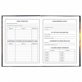 Дневник 1-4 класс 48 л., твердый, ЮНЛАНДИЯ, глянцевая ламинация, с подсказом, "Football", 106349