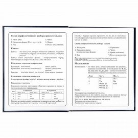 Дневник 1-4 класс 48 л., твердый, ЮНЛАНДИЯ, глянцевая ламинация, с подсказом, "SpaceX", 106351