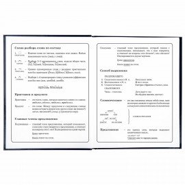 Дневник 1-4 класс 48 л., твердый, ЮНЛАНДИЯ, глянцевая ламинация, с подсказом, "SpaceX", 106351