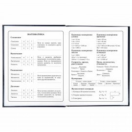 Дневник 1-4 класс 48 л., твердый, ЮНЛАНДИЯ, глянцевая ламинация, с подсказом, "SpaceX", 106351