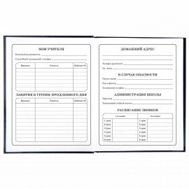 Дневник 1-4 класс 48 л., твердый, ЮНЛАНДИЯ, глянцевая ламинация, с подсказом, "SpaceX", 106351