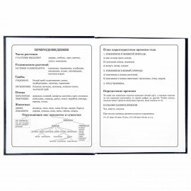 Дневник 1-4 класс 48 л., твердый, ЮНЛАНДИЯ, глянцевая ламинация, с подсказом, "SpaceX", 106351