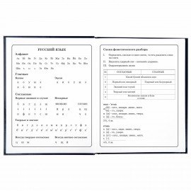 Дневник 1-4 класс 48 л., твердый, ЮНЛАНДИЯ, глянцевая ламинация, с подсказом, "Котики", 106352