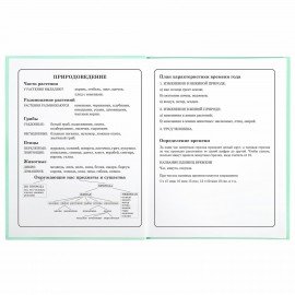 Дневник 1-4 класс 48 л., твердый, BRAUBERG, глянцевая ламинация, с подсказом, "Герб", 106357