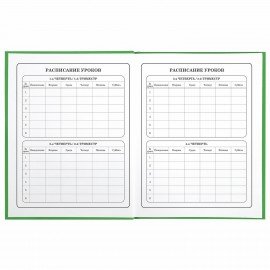 Дневник 1-4 класс 48 л., твердый, BRAUBERG, глянцевая ламинация, с подсказом, "Авокадики", 106359