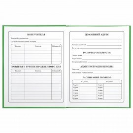 Дневник 1-4 класс 48 л., твердый, BRAUBERG, глянцевая ламинация, с подсказом, "Авокадики", 106359