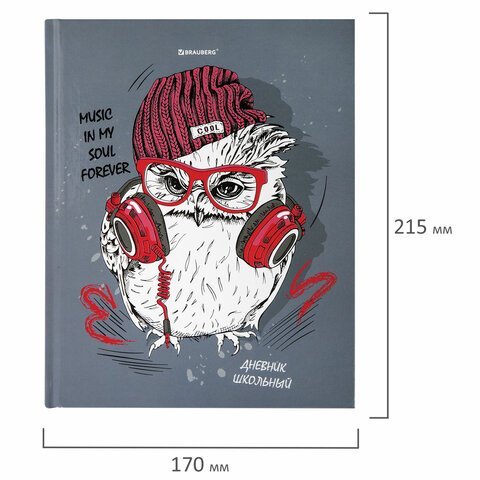 Дневник 1-11 класс 40 л., твердый, BRAUBERG, глянцевая ламинация, "Cool Owl", 106371