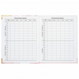 Дневник 1-11 класс 40 л., твердый, BRAUBERG, глянцевая ламинация, "Vision", 106380