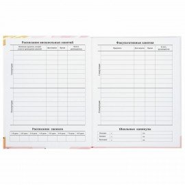 Дневник 1-11 класс 40 л., твердый, BRAUBERG, глянцевая ламинация, "Vision", 106380