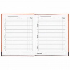 Дневник 1-11 класс 40 л., твердый, BRAUBERG, глянцевая ламинация, "Монстрик", 106383