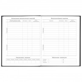 Дневник 5-11 класс 48 л., твердый, BRAUBERG, глянцевая ламинация, с подсказом, "Eagle", 106388