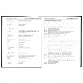 Дневник 5-11 класс 48 л., твердый, BRAUBERG, глянцевая ламинация, с подсказом, "Eagle", 106388
