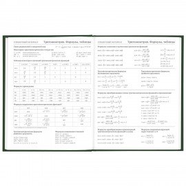 Дневник 5-11 класс 48 л., твердый, BRAUBERG, глянцевая ламинация, с подсказом, "Freestyle", 106395