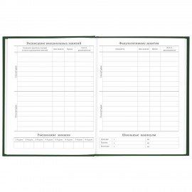 Дневник 5-11 класс 48 л., твердый, BRAUBERG, глянцевая ламинация, с подсказом, "Freestyle", 106395