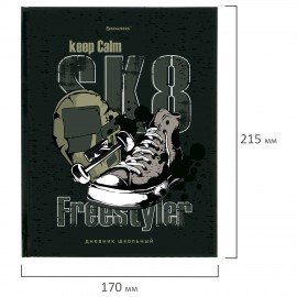 Дневник 5-11 класс 48 л., твердый, BRAUBERG, глянцевая ламинация, с подсказом, "Freestyle", 106395